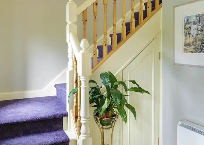 18 Ard Na Mara 펜션 딩글